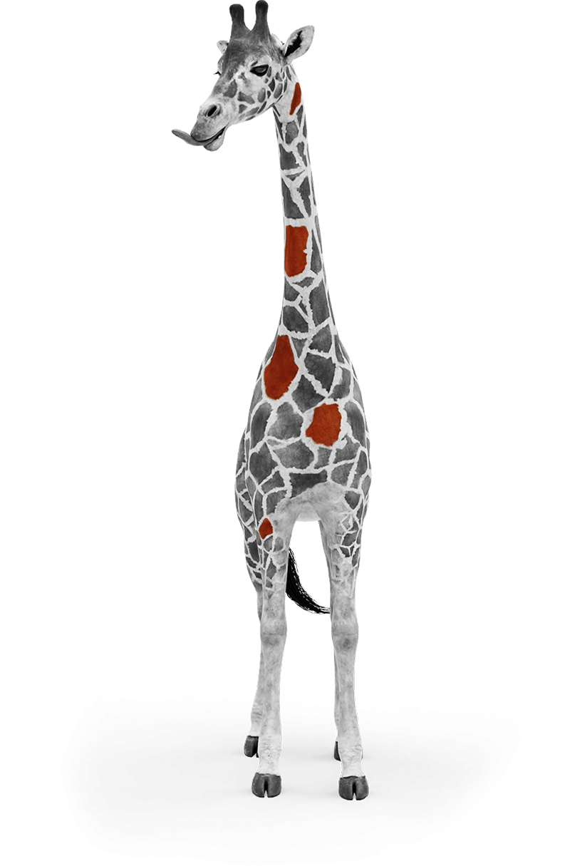 giraffa-1 Platform girafe