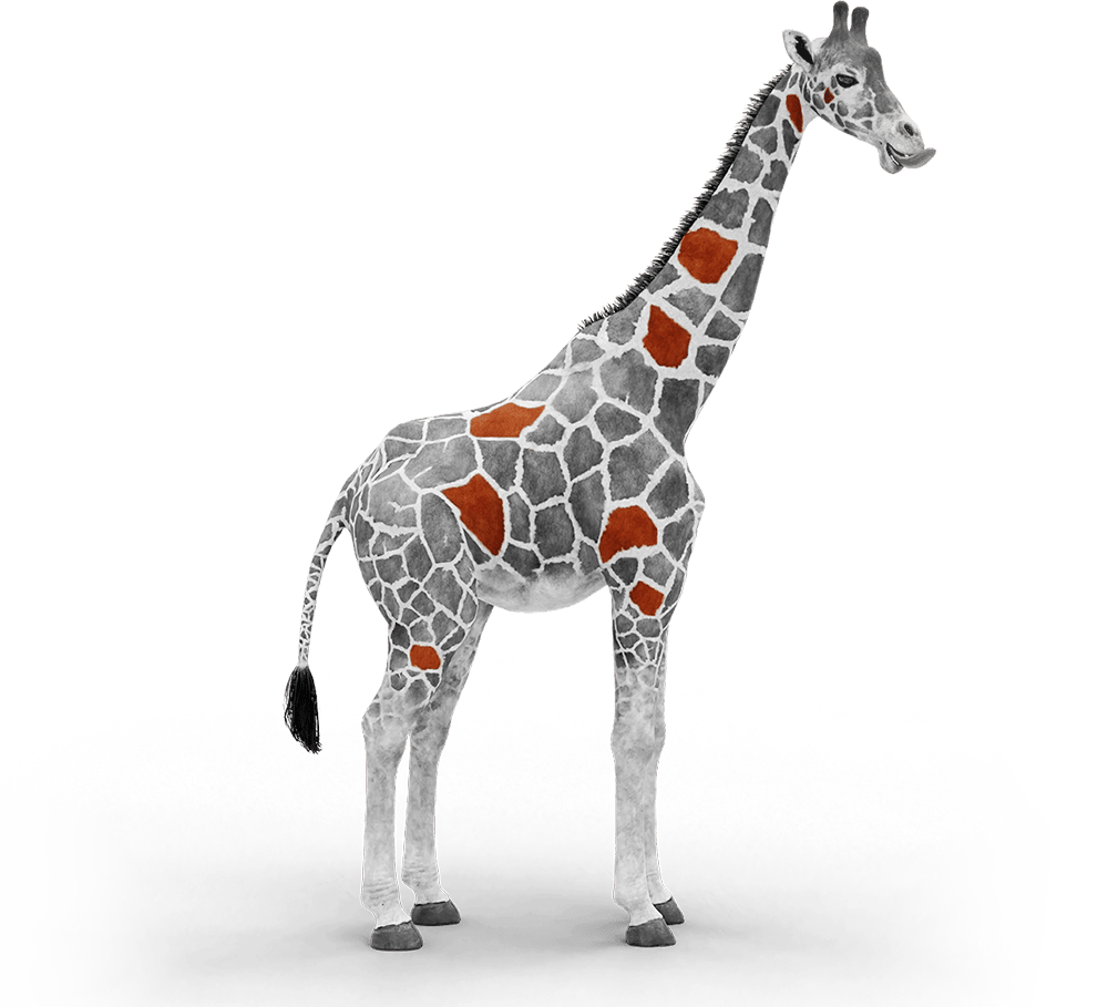 giraffa-v2 aerial work platform manufacturers
